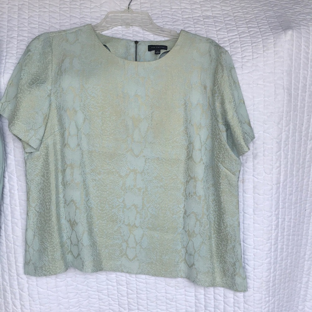 Gorgeous pale blue snakeskin blouse